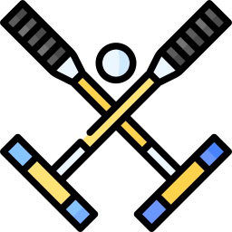 polo icon