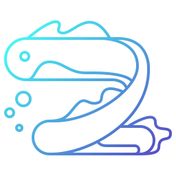 Eel icon