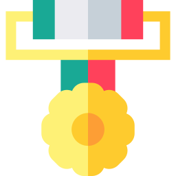 Medal icon