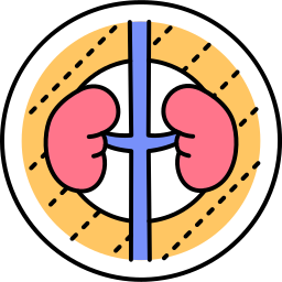 urologie icoon