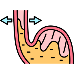 bauch icon