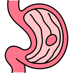 Stomach icon