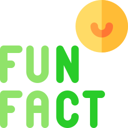 Fun fact icon