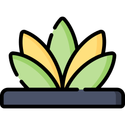 agave icon