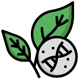 entwickeln icon