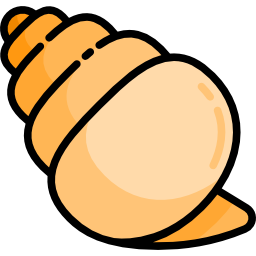 Conch shell icon