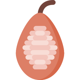 Cocoa icon