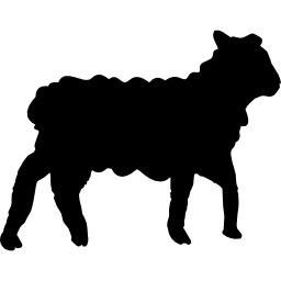 Sheep icon