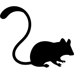 Mouse icon