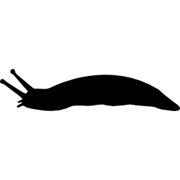 Slug shape icon