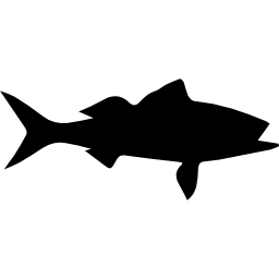 Vermilion snapper fish silhouette icon