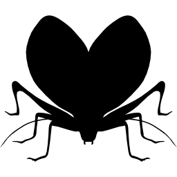 Sphinx insect shape icon