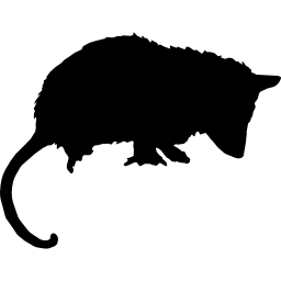 Opossum mammal animal silhouette icon