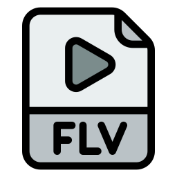 Flv icon