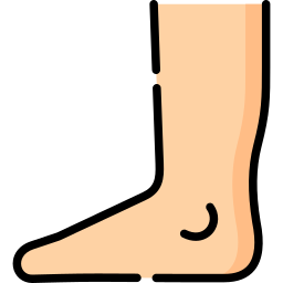 Foot icon