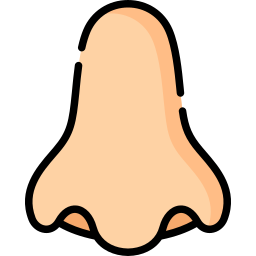 Nose icon