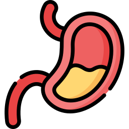 Stomach icon