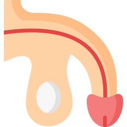 Пенис иконка