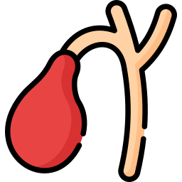 vésicule biliaire Icône