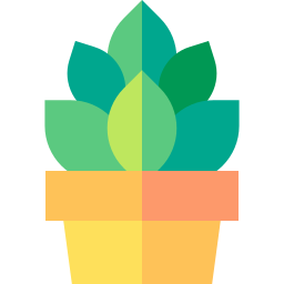 Succulent icon