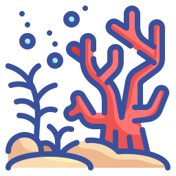 Coral icon