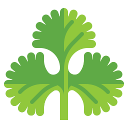 Coriander icon