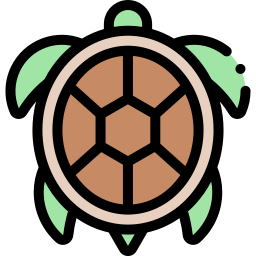 schildkröte icon