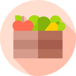 Fruit icon