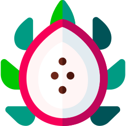 drachenfrucht icon