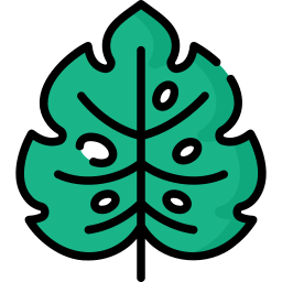 Leaf icon