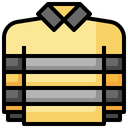 Shirt icon