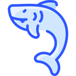 Shark icon