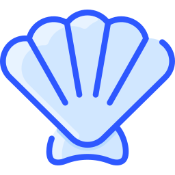 Clam icon