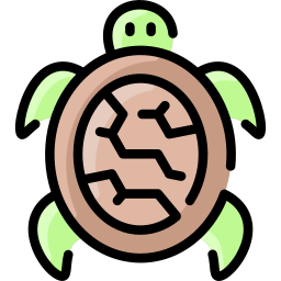 Turtle icon