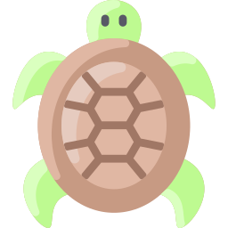 Turtle icon