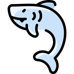 Shark icon