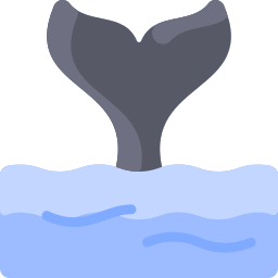 baleine Icône