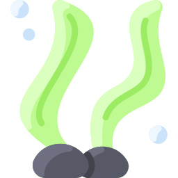 Seaweed icon