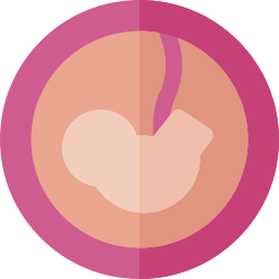 Embryo icon