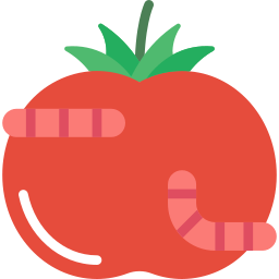 tomate Icône