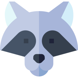 waschbär icon