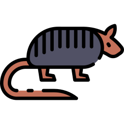 Armadillo icon