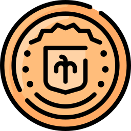 동전 icon