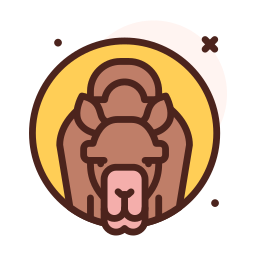 Camel icon