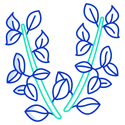 thym Icône