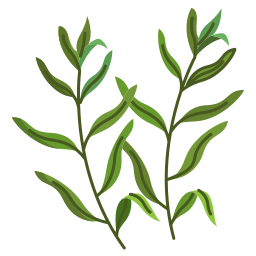 Tarragon icon