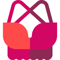 Bra icon