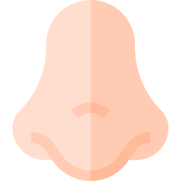 Nose icon