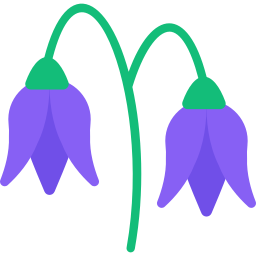 Bluebell icon