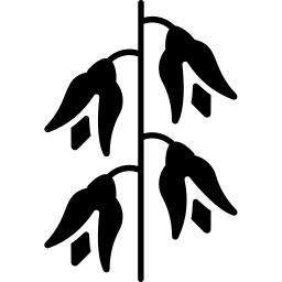 rittersporn icon